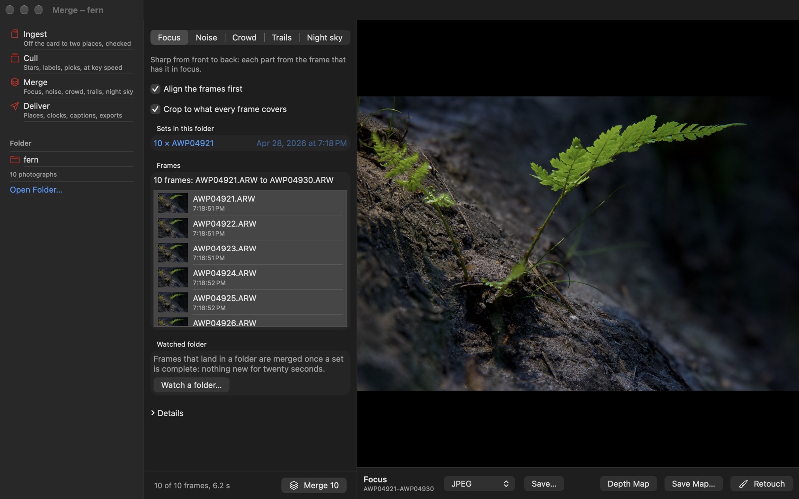 Merge: ten frames of a fern focus bracket stacked into one photograph, sharp from the soil at the front to the tip of the frond