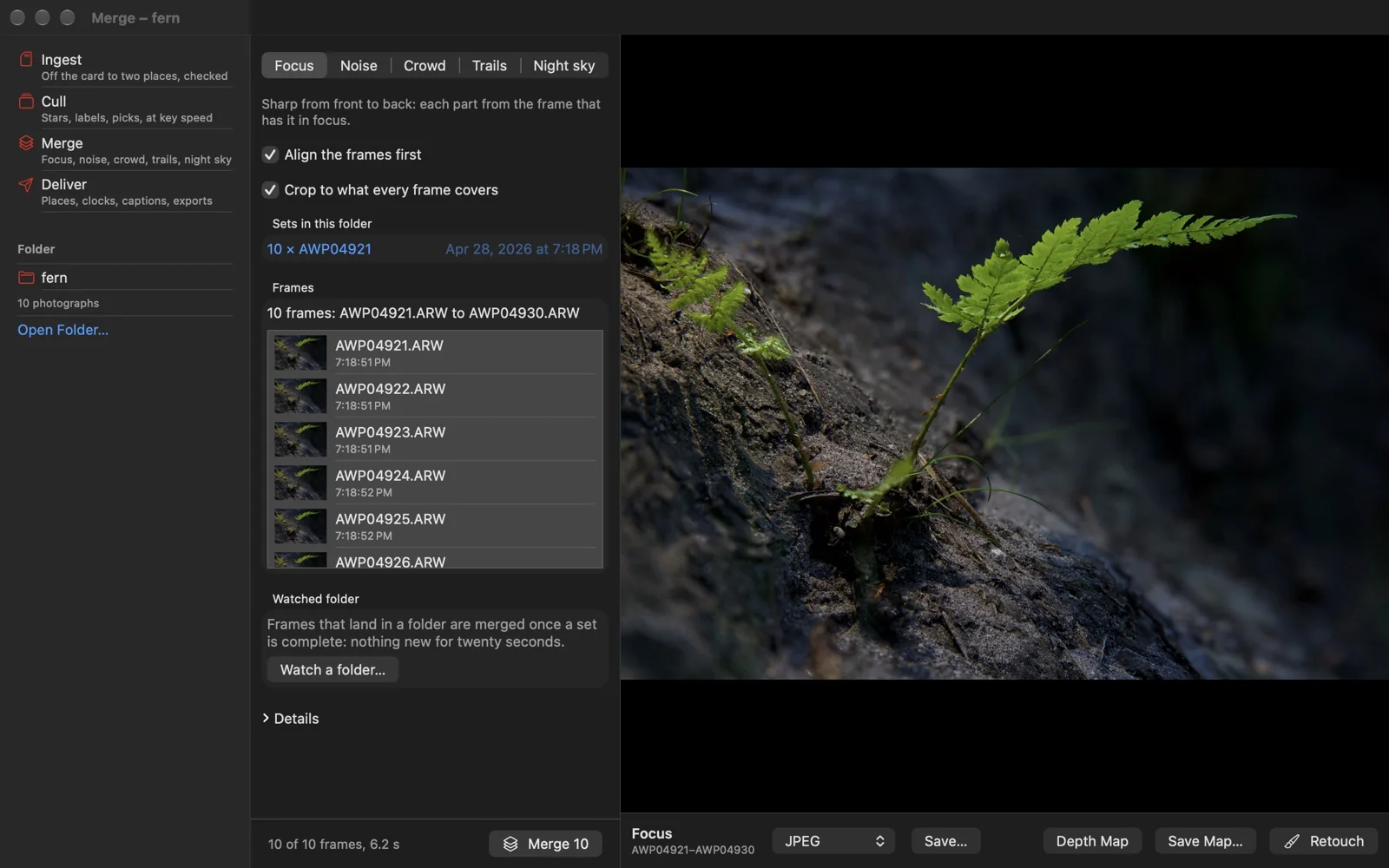 Merge: ten frames of a fern focus bracket stacked into one photograph, sharp from the soil at the front to the tip of the frond
