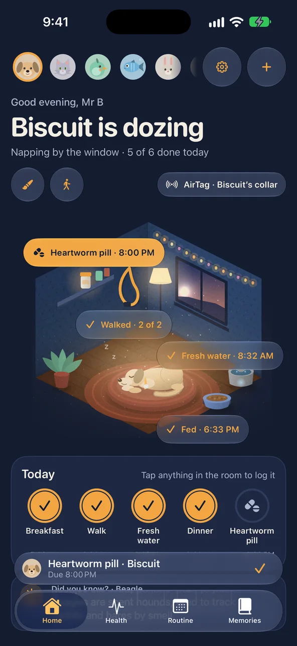 Biscuit the dog dozing on a rug at dusk, the lamp on, with the heartworm pill, walks, water and dinner shown in the room and today's care as rings below