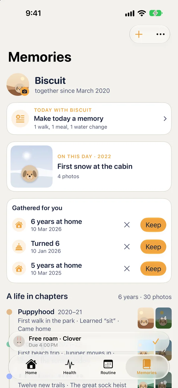 Memories: Biscuit together since March 2020, on this day in 2022 the first snow at the cabin, and milestones gathered to keep