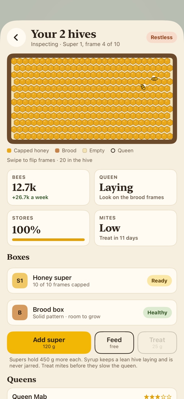 Hive inspection: a frame of capped honey with bees on it, and cards for the bees, the queen, the stores and the mites