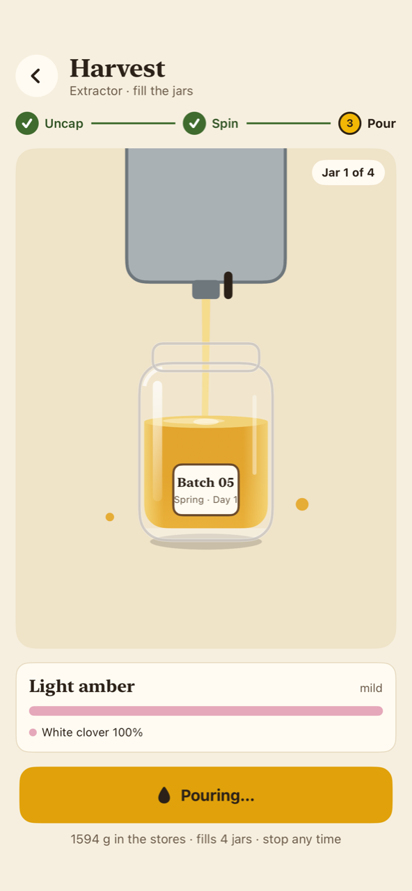 The harvest's pour step: honey running from the extractor's tap into a jar two-thirds full