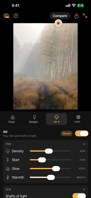 Air on a forest path: fog that thickens with distance, and a beam of sunlight falling through a gap in the pines