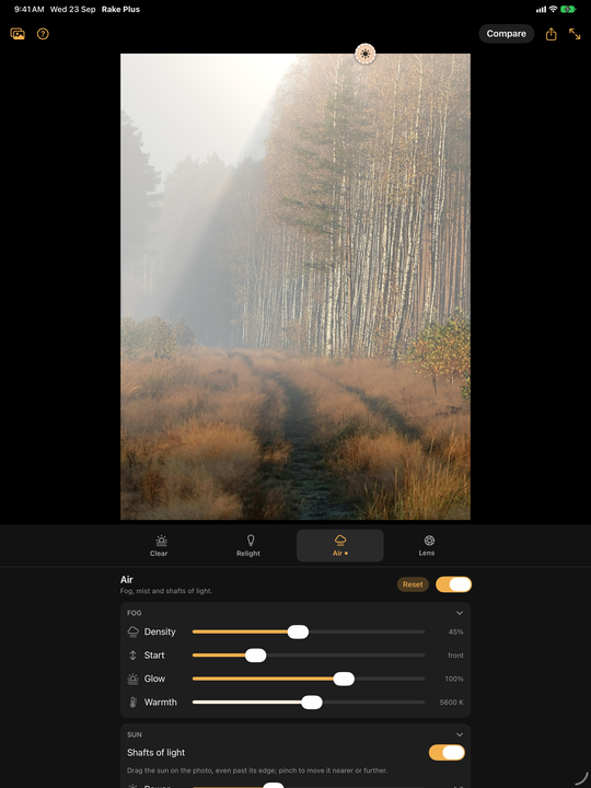 Rake Plus on iPad with Air: the forest path in fog with a beam of light, and the fog and sun controls below