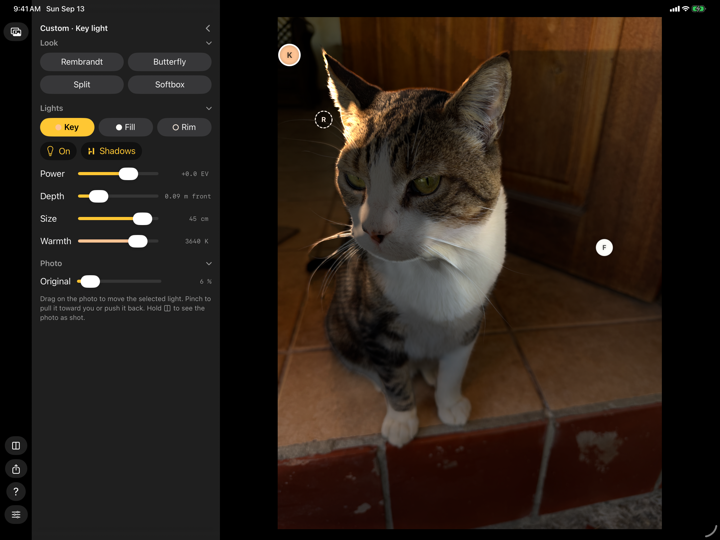 Rake on iPad held on its side, with the looks, lights and sliders in a column on the left and the photo on the right