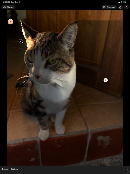 Rake on iPad with the controls folded away and the relit cat photo filling the screen