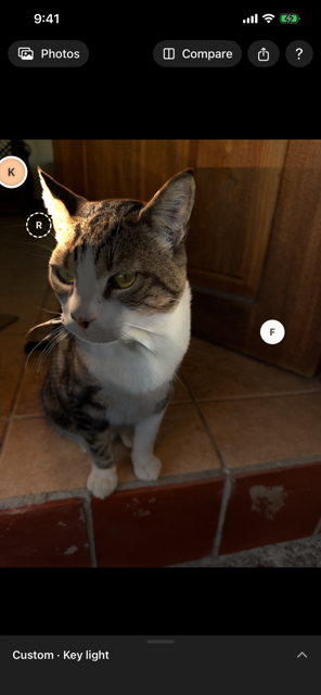 A tabby cat on a tiled step, relit by a warm, low light from the upper left that catches the ear and one side of the face and leaves the rest of the scene in shadow